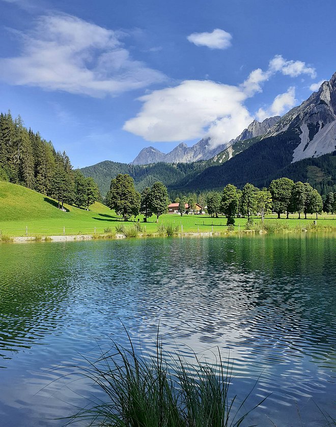 Die Natur erleben