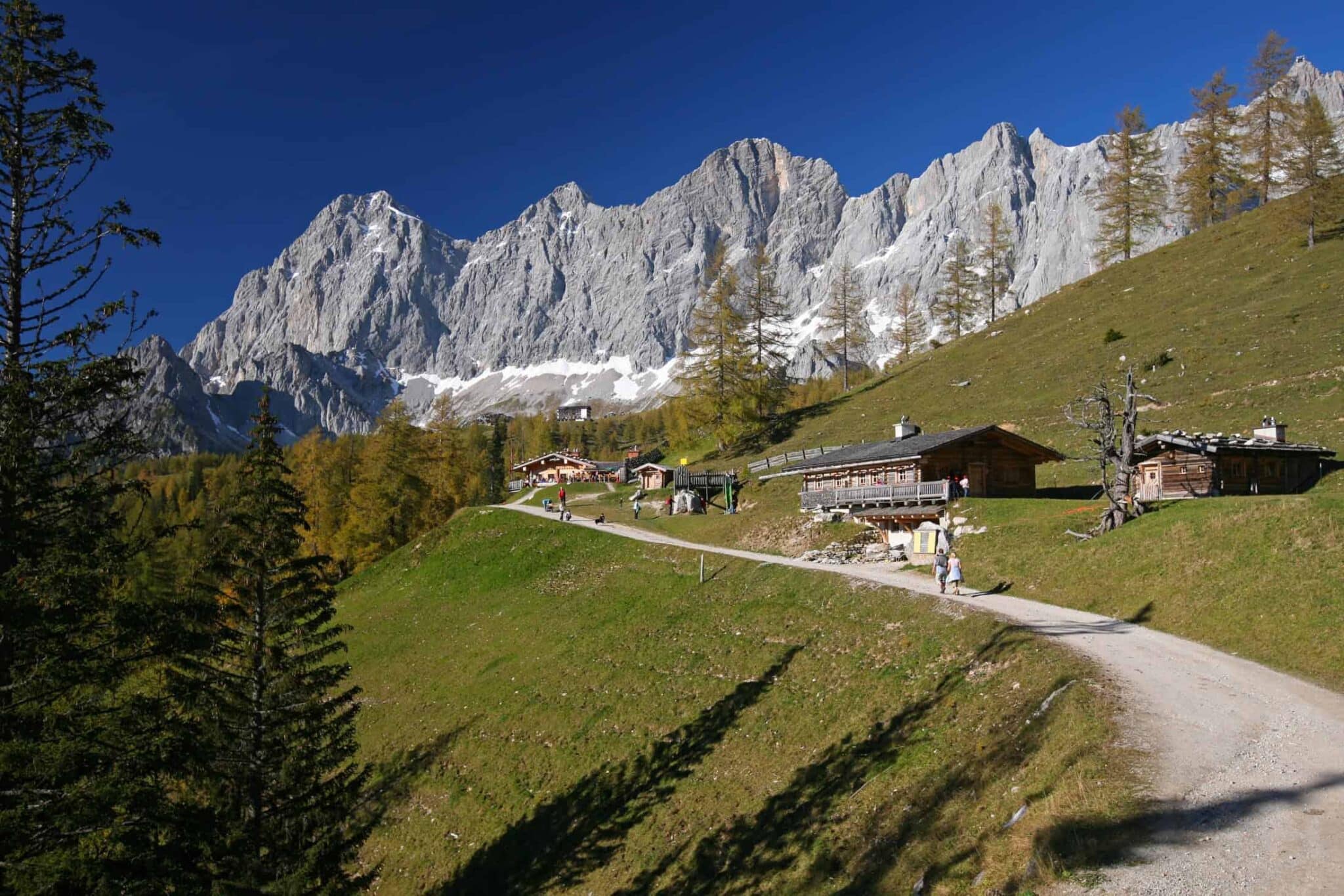 mountain bike panorama tour over the Alpine pastures